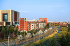 存案高校有临沂大学、青岛科技大学、青